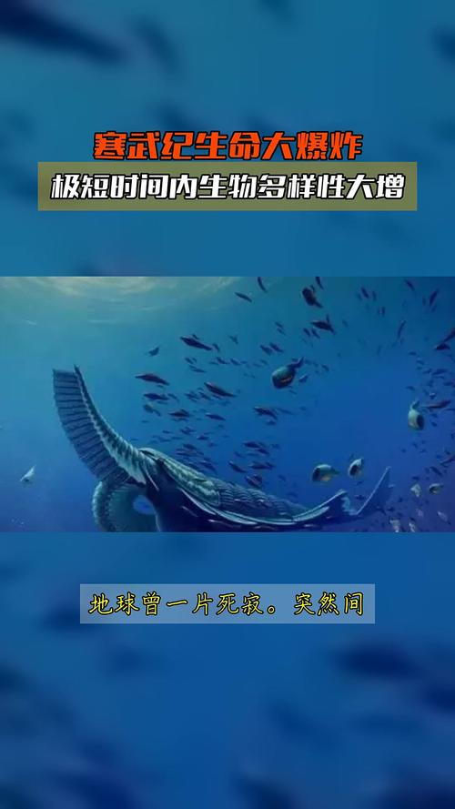 寒武纪生命大爆发谜（寒武纪生命大爆发猜疑）