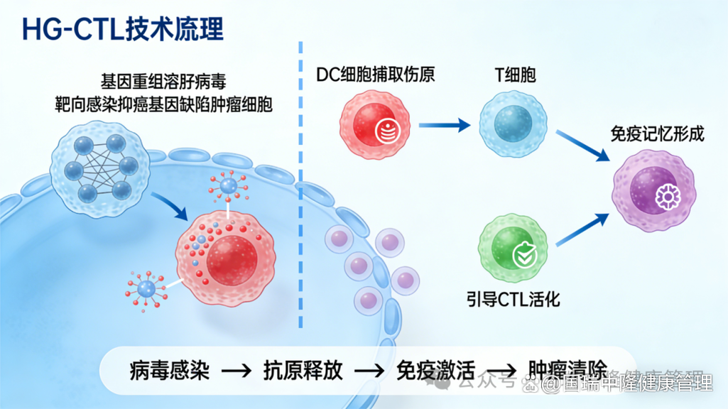 细胞疗法实体瘤挑战（细胞疗法案例）
