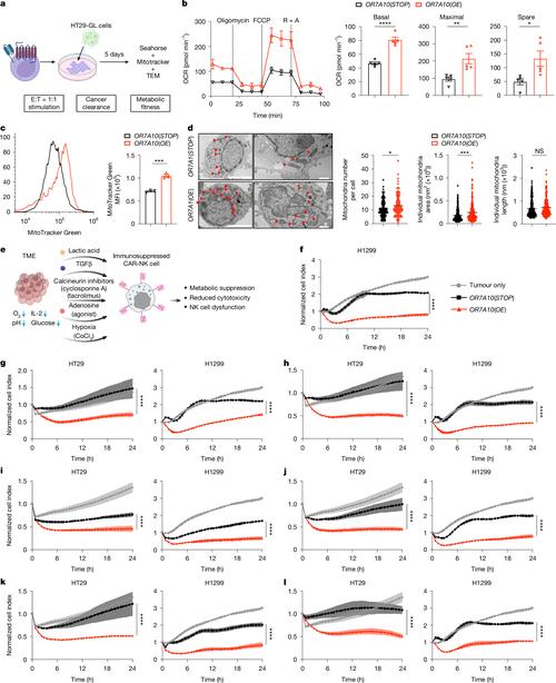 细胞疗法实体瘤挑战（细胞疗法案例）