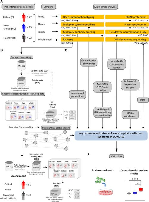 科技伦理委员会作用（科技伦理风险）