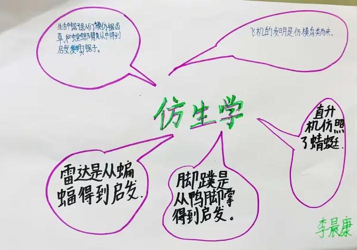 仿生学自然启示（仿生学现象）