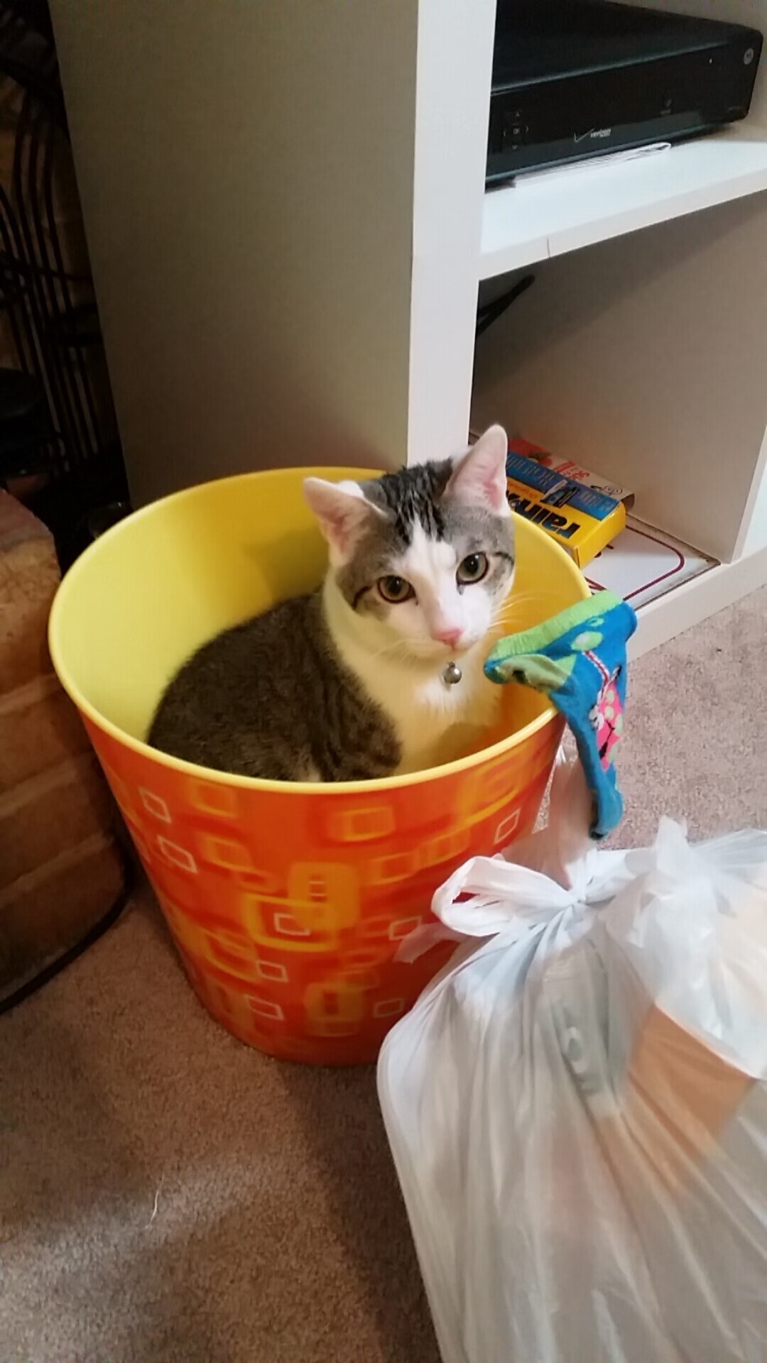 人类文明周期循环论?_人类文明演进的四个阶段