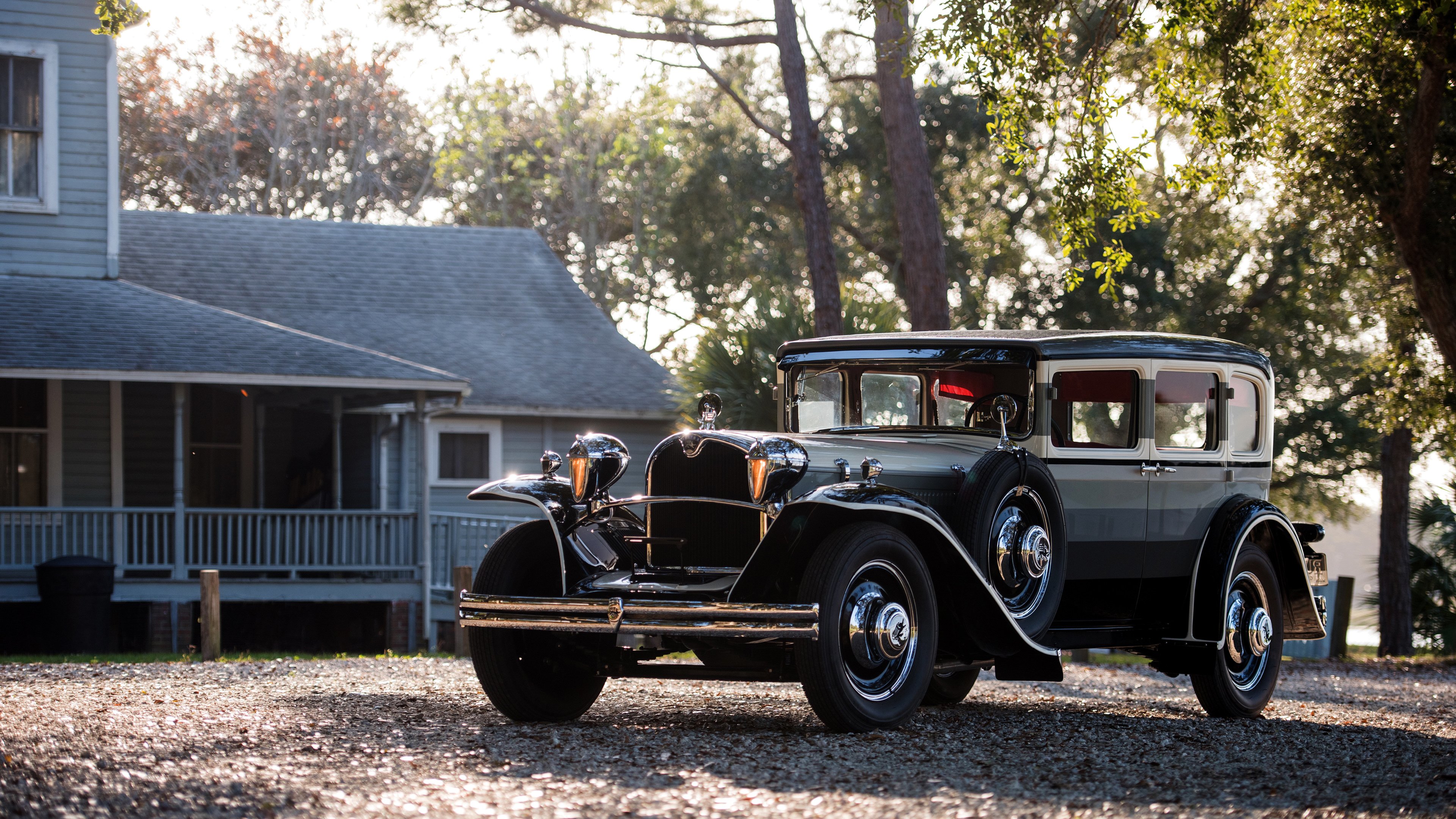 食物链与食物网_食物链和食物网的区别