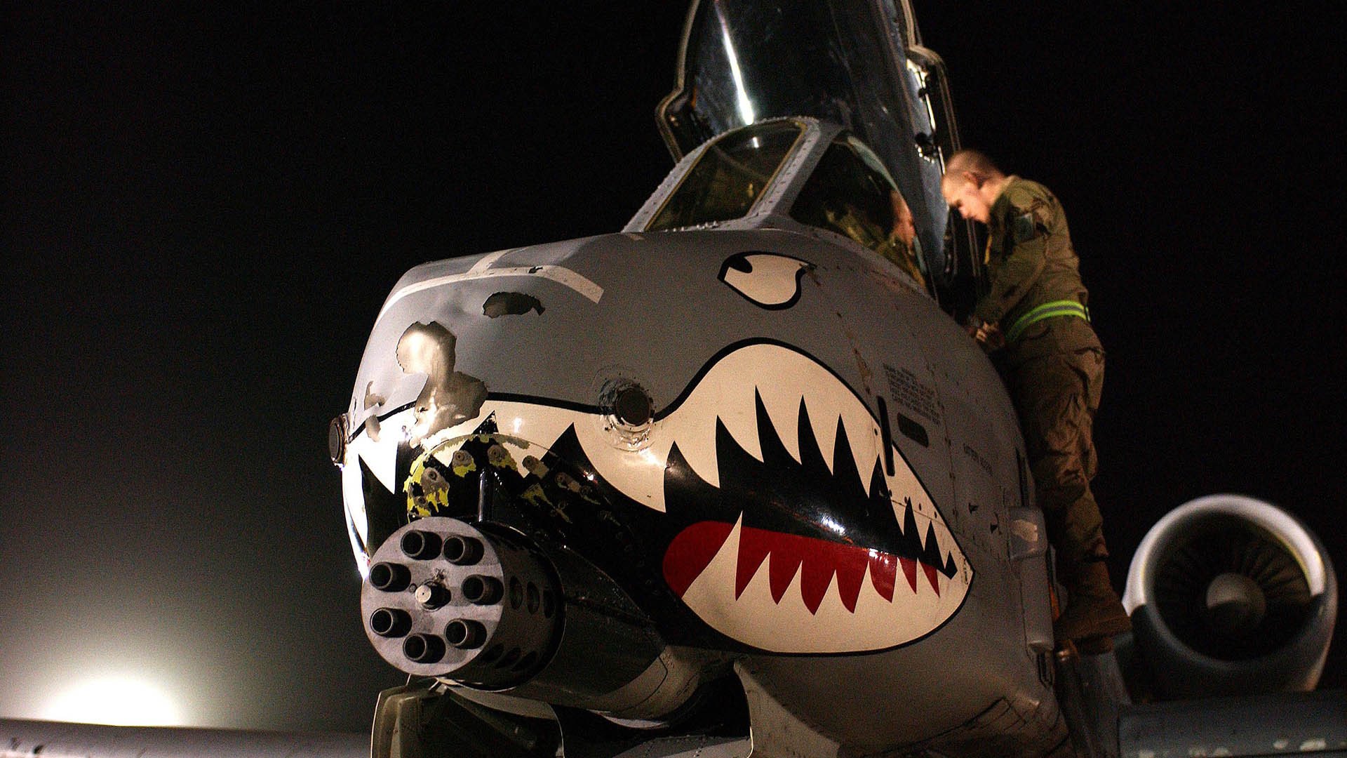 章鱼有三个心脏_章鱼有三个心脏图片