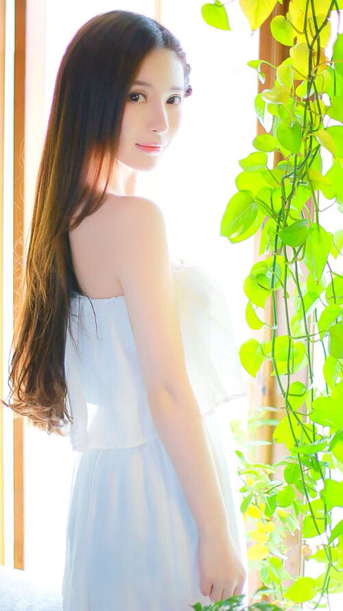 极地动物的生存智慧_极地动物的生存智慧是什么