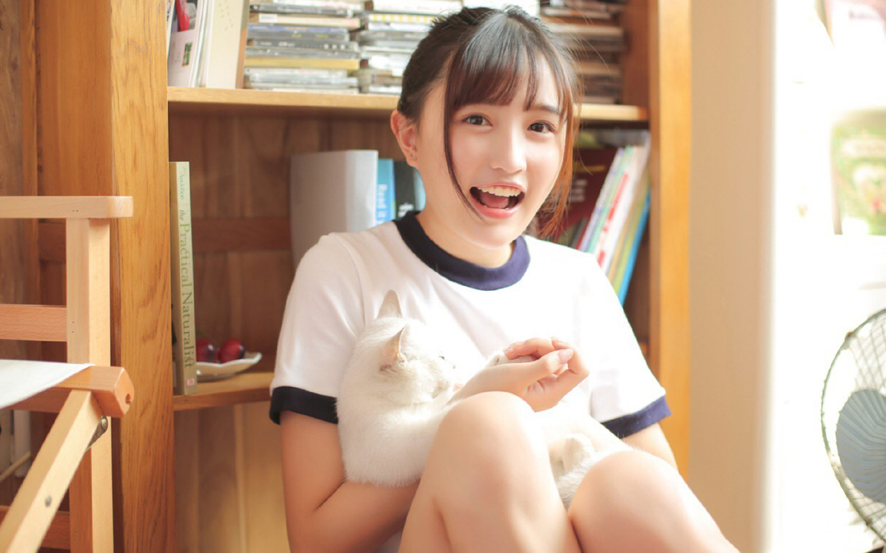 智慧电网如何工作？_智慧电网的定义与它的功能